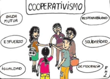 Explora diferentes modelos de cooperativas en el sector empresarial